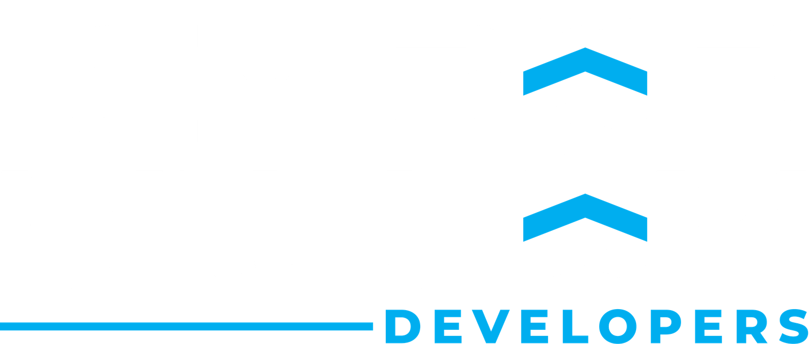 Cyber Valley Developers